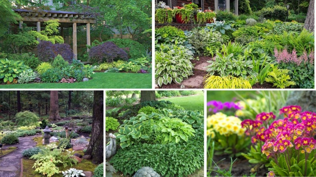 5 Gorgeous Shaded Flower Beds to Brighten Dim Garden Areas