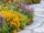 5 Beautiful Perennial Flower Bed Ideas That Return Every Year