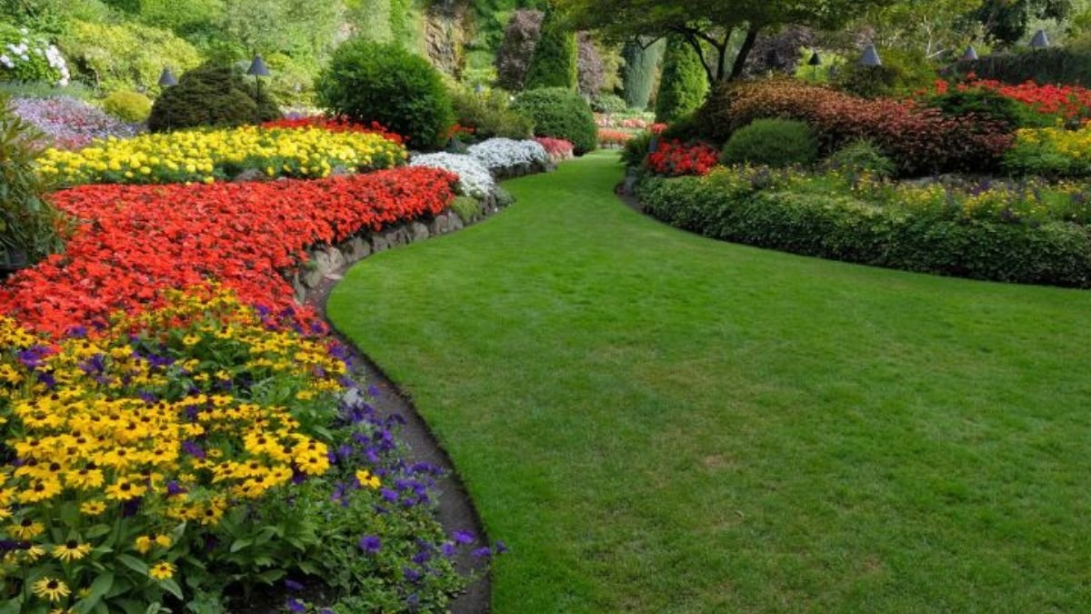5 Gorgeous Wildflower Flower Bed Designs for a Natural Look
