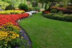5 Gorgeous Wildflower Flower Bed Designs for a Natural Look