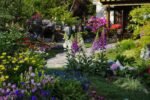 5 Gorgeous Bee-Friendly Flower Bed Ideas for a Healthy Garden