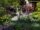 5 Gorgeous Bee-Friendly Flower Bed Ideas for a Healthy Garden