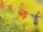 5 Beautiful Hummingbird Flower Beds to Add Lively Movement