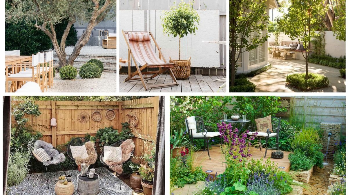 Compact Trees Perfect for Balcony and Patio Spaces